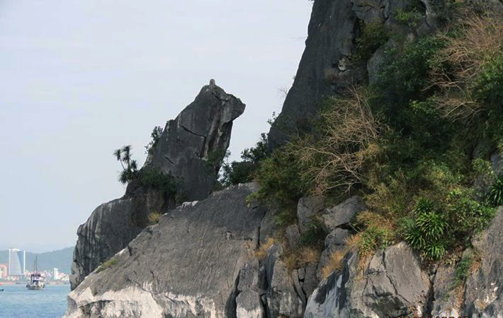 Tour Thăm Vịnh Hạ Long 